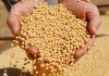 China quer remoção de tarifas para comprar US$ 50 bi em produtos agrícolas